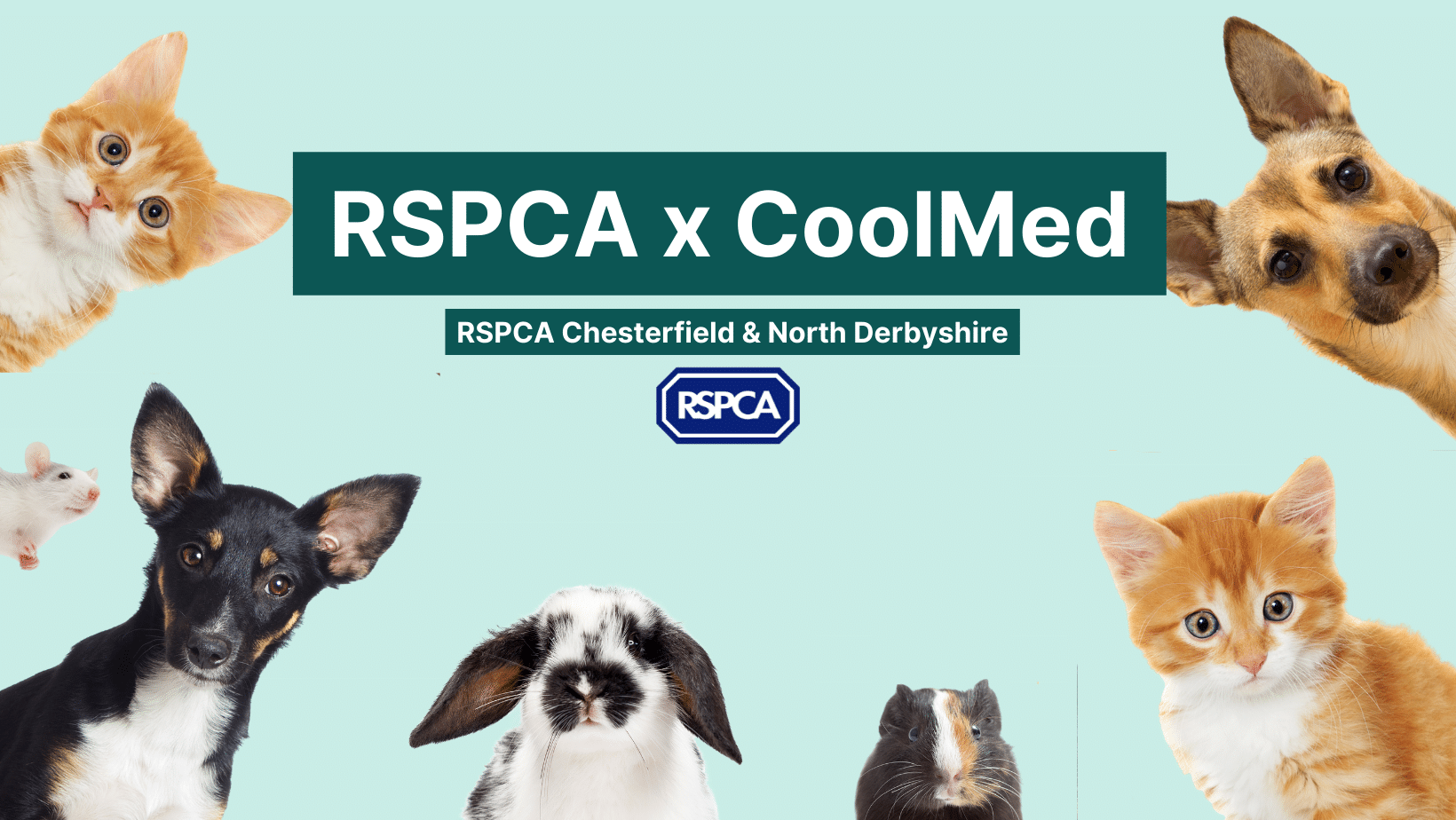 CoolMed veterinary fridges are being used by RSPCA Chesterfield & North Derbyshire